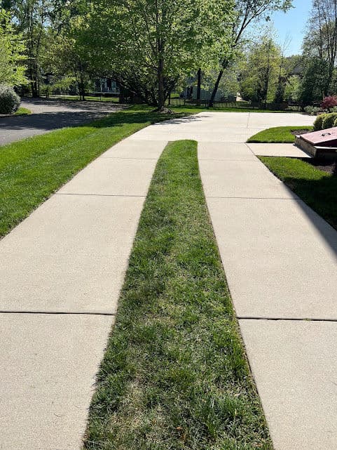 Curved sidewalk with grass strip in between, surrounded by trees and greenery.