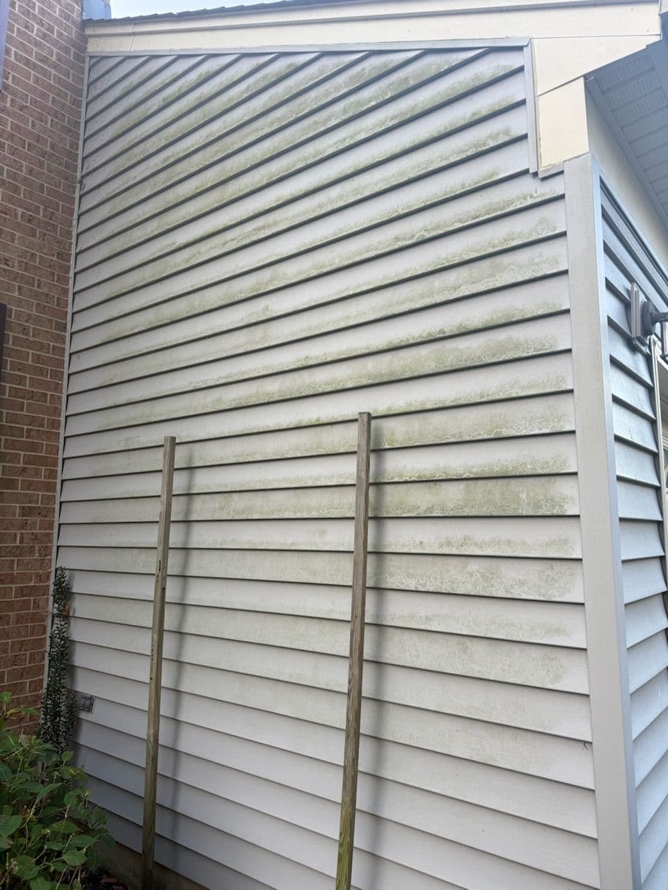 Gallery photos for Kings Park West House Soft Wash Transformation: Image #1