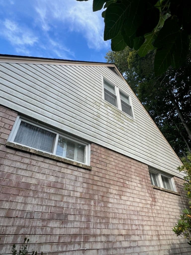 Fairfax Home Transformed with Expert Soft Washing image