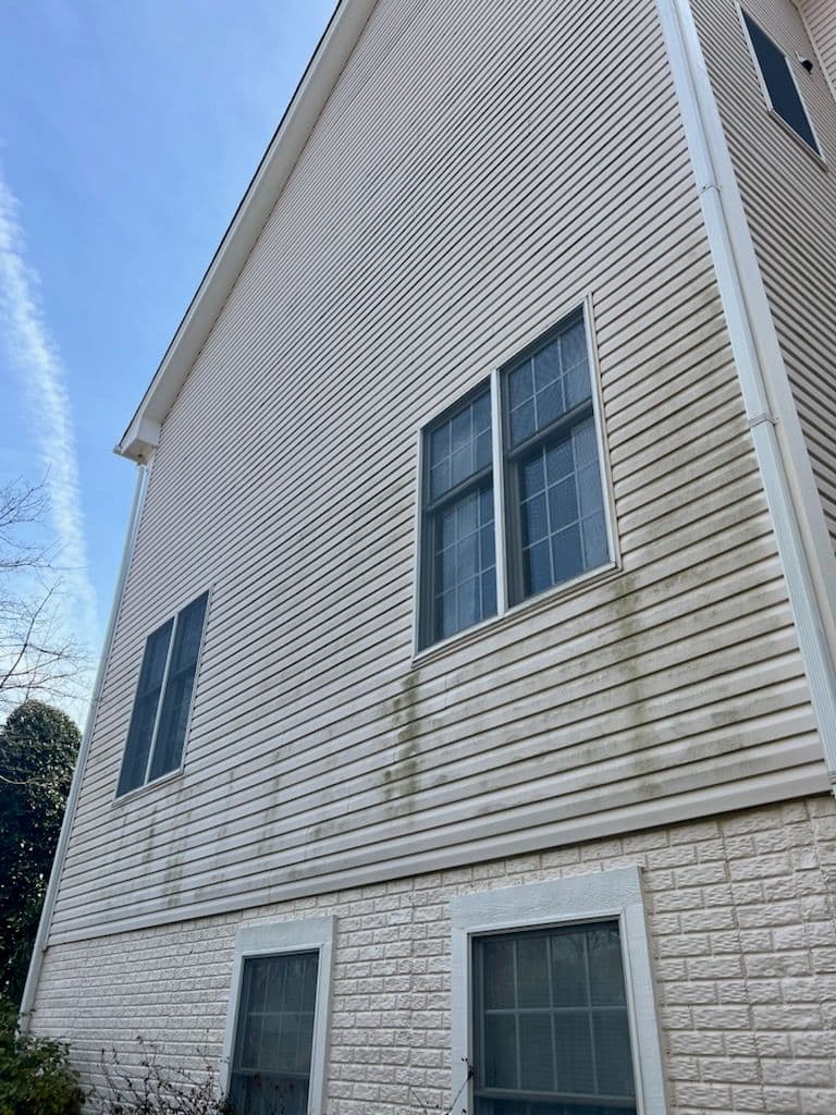 Transforming Homes with Expert Soft Washing image