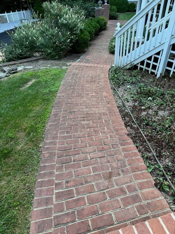Stunning Pathway Renewal with Pressure Washing image