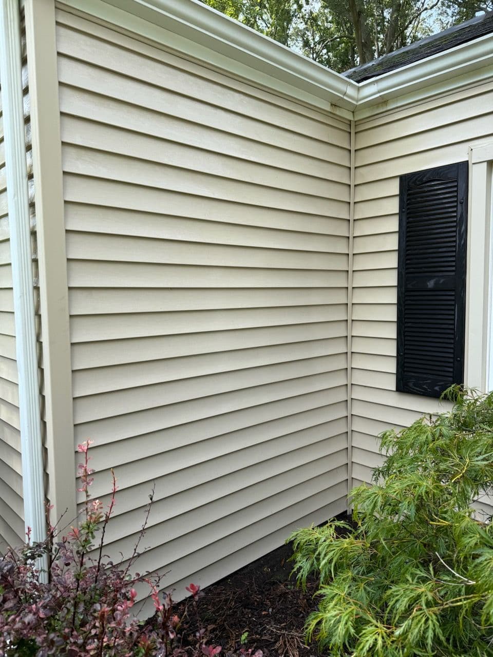 Gallery photos for Soft Wash Revitalizes Home in Burke: Image #1