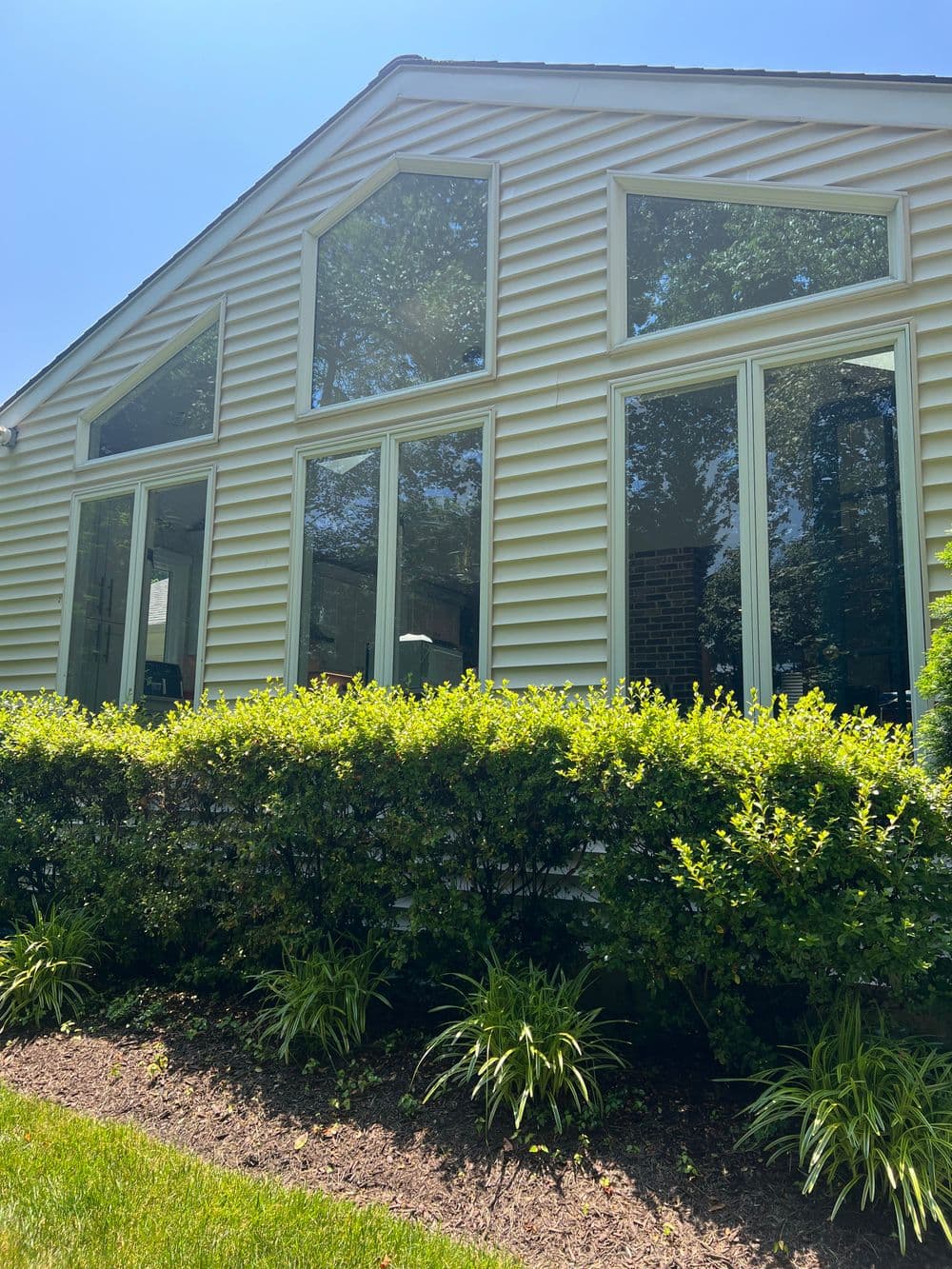 Modern house exterior with large windows surrounded by green shrubs and grass.