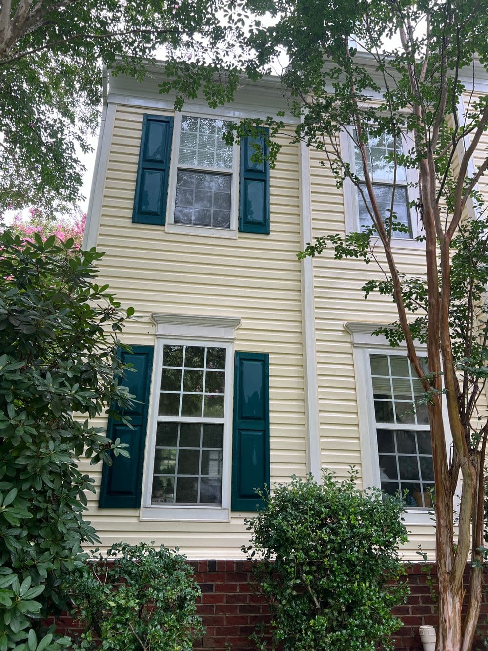 Yellow house with dark green shutters and lush greenery surrounding the windows.