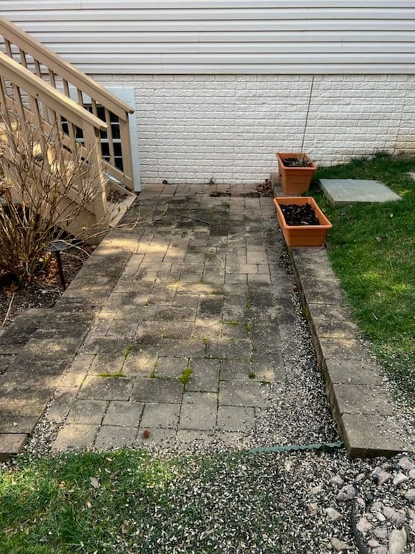 Pristine Brick Path Removal of Moss and Dirt image