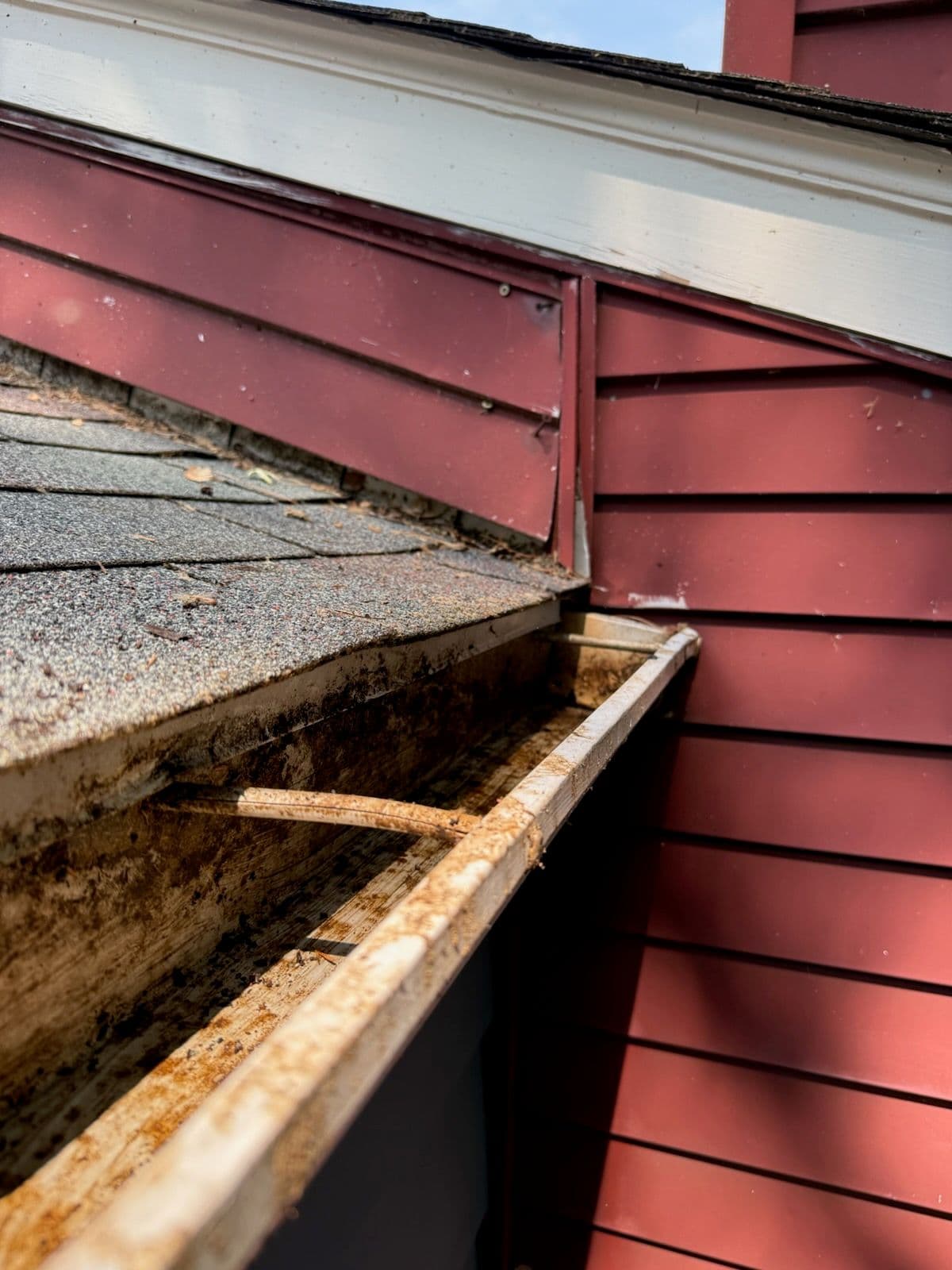 Gallery photos for Gutter Cleaning Magic for a Clean and Safe Home: Image #1